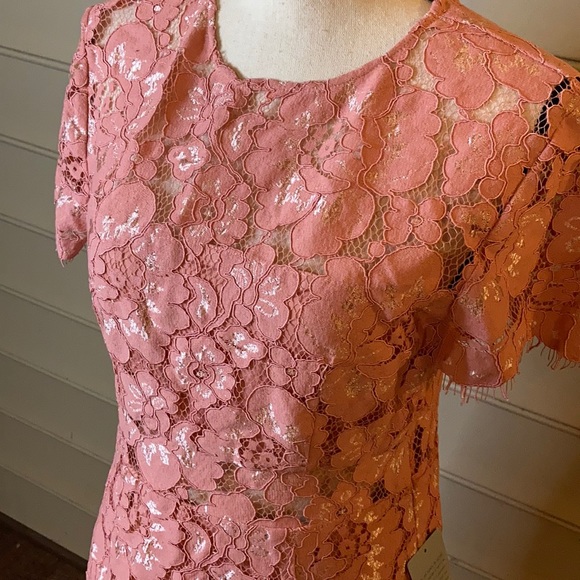 NWT NSR Lace Pink Sheath Dress Short Sleeve - Picture 3 of 10